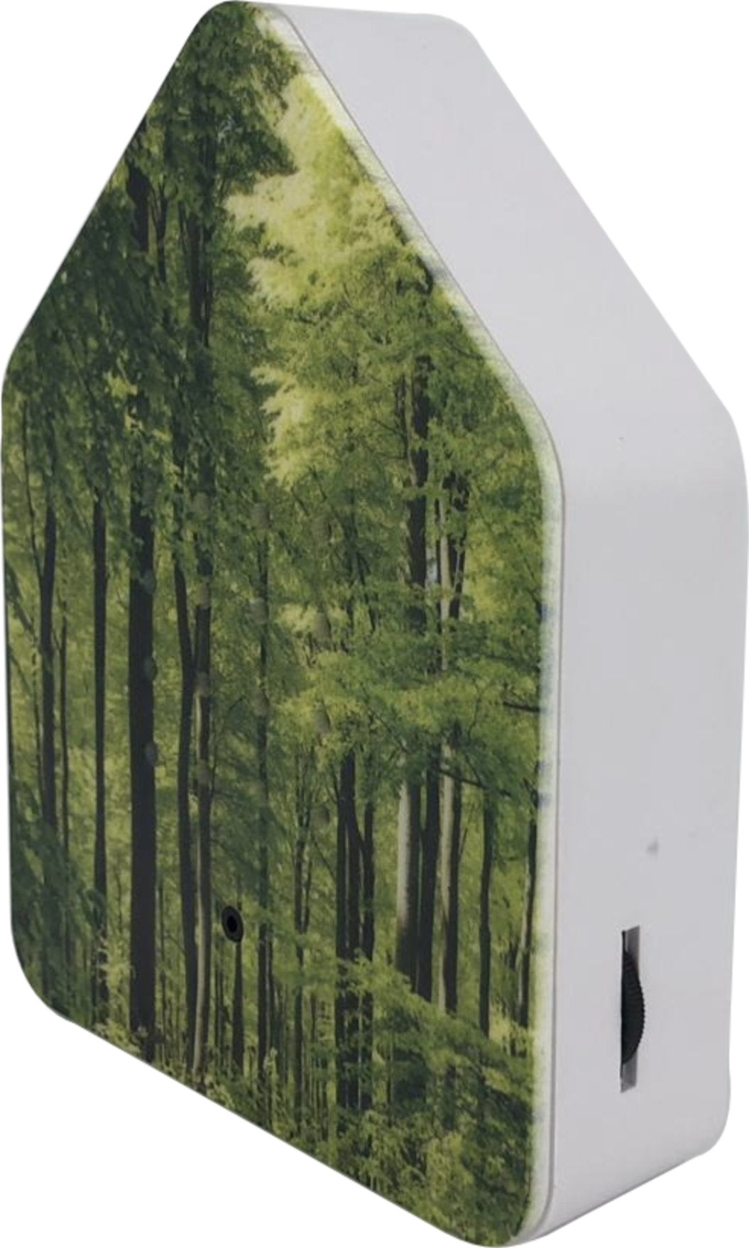 Zwitscherbox Wald - Seitlich