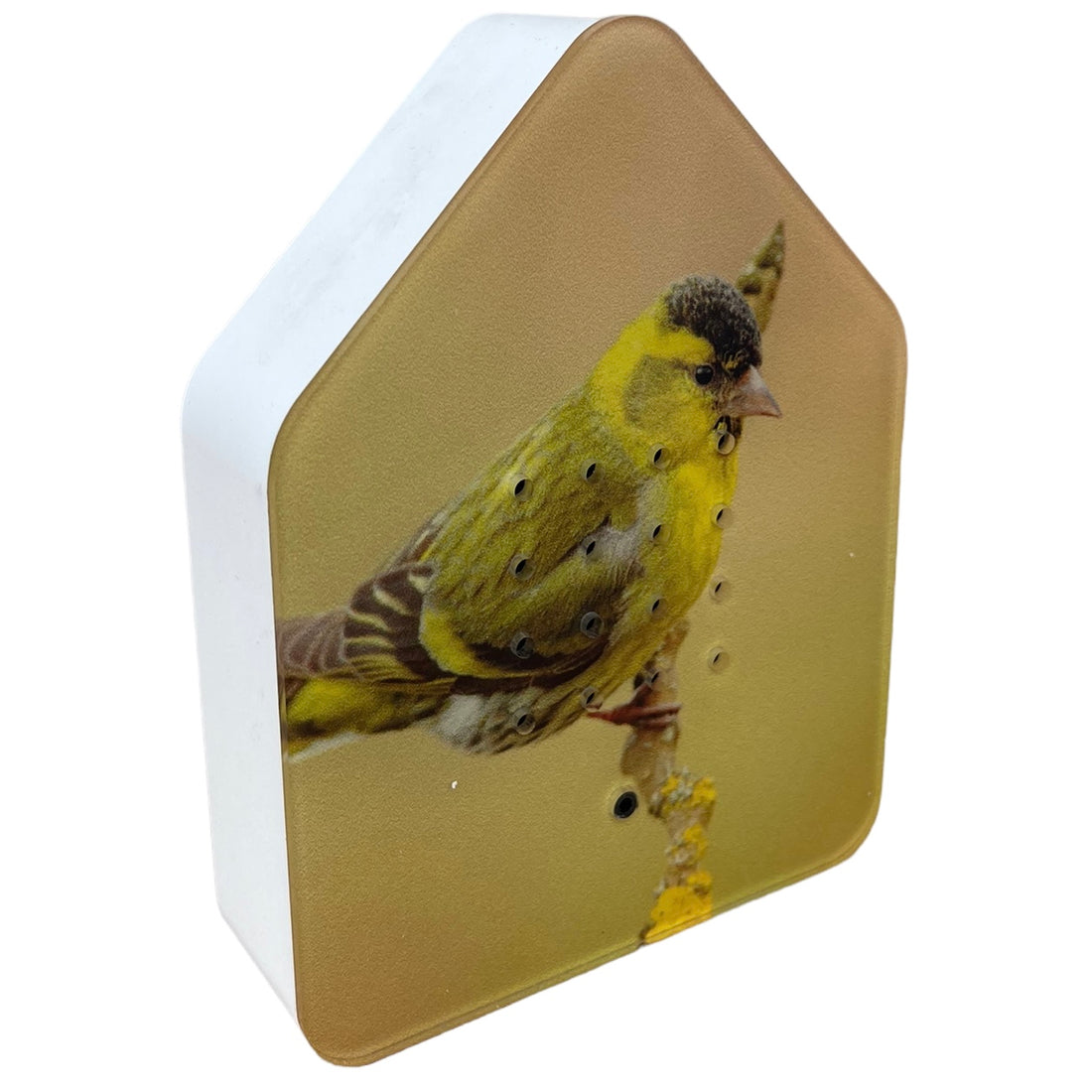 Relaxound Zwitscherbox Limited Edition, Eurasian Siskin