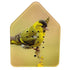 Relaxound Zwitscherbox Limited Edition, Eurasian Siskin